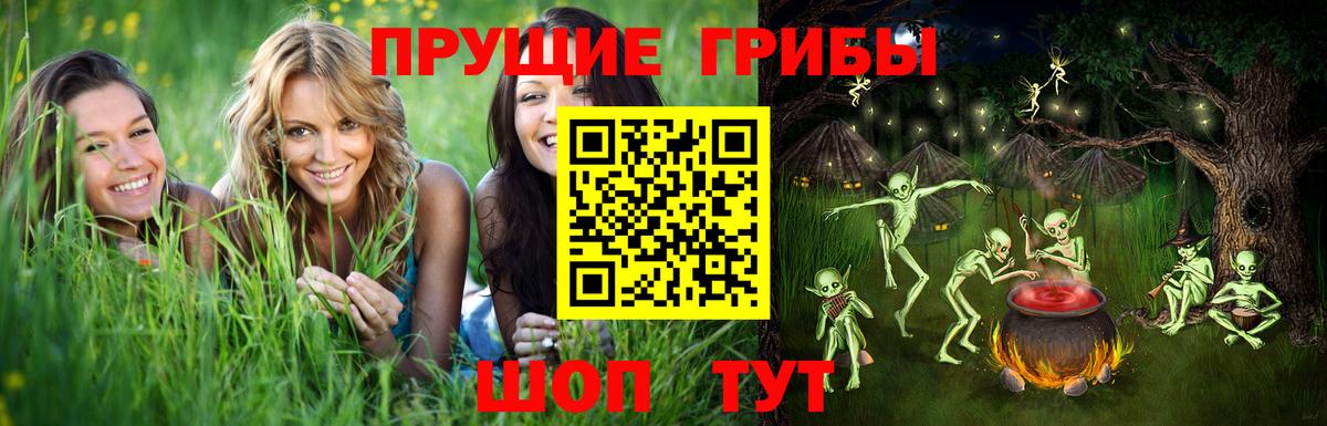 Псилоцибиновые грибы MAGIC MUSHROOMS  Вход с VPN  Глазов  Галлюциногенные грибы Psilocybine cubensis 