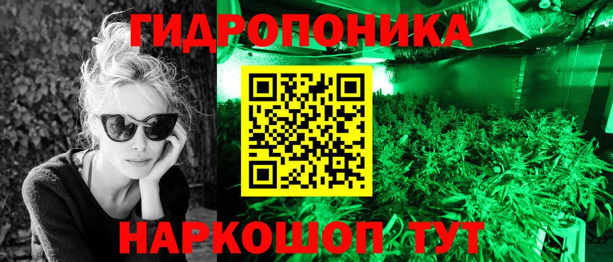 Каннабис марихуана Глазов